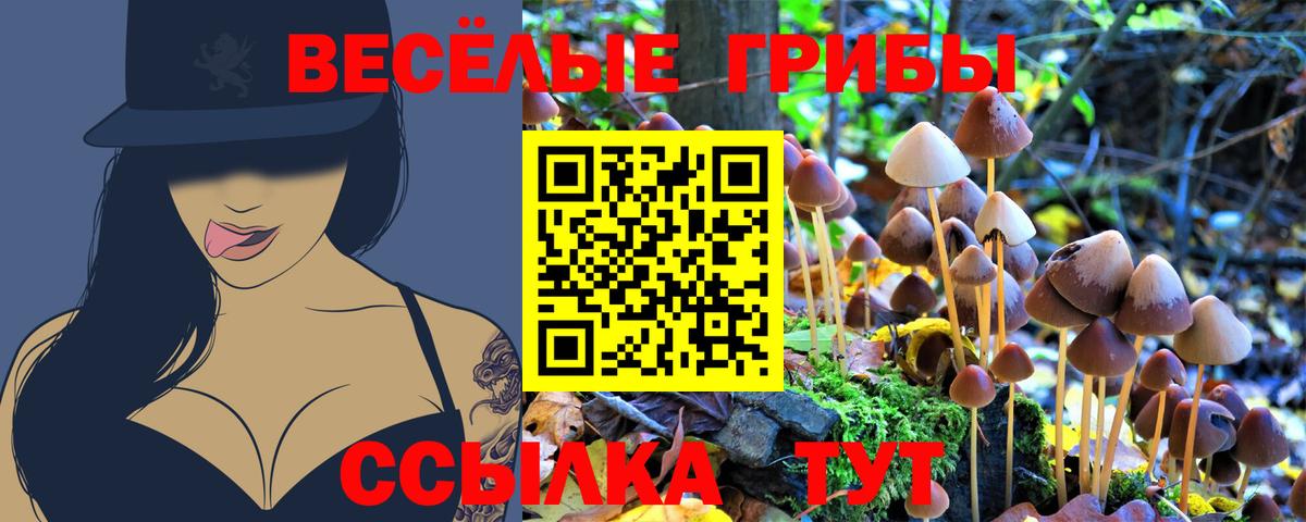 Выкса  Псилоцибиновые грибы Psilocybe  Вход с VPN 